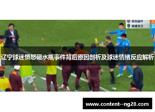 辽宁球迷愤怒砸水瓶事件背后原因剖析及球迷情绪反应解析