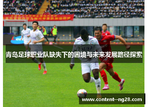 青岛足球职业队缺失下的困境与未来发展路径探索