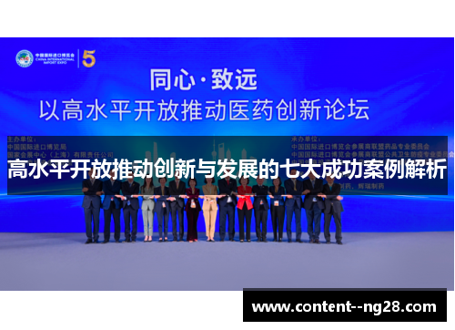 高水平开放推动创新与发展的七大成功案例解析