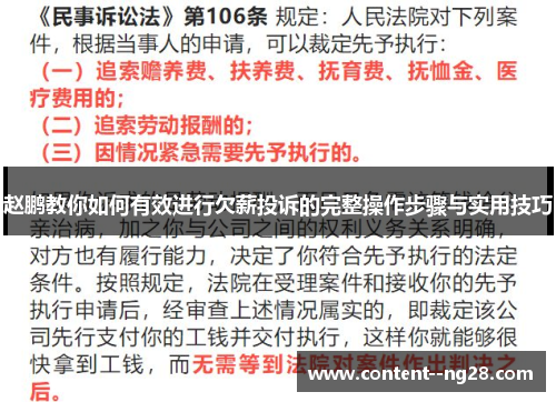 赵鹏教你如何有效进行欠薪投诉的完整操作步骤与实用技巧