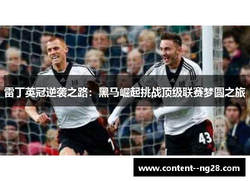 雷丁英冠逆袭之路：黑马崛起挑战顶级联赛梦圆之旅
